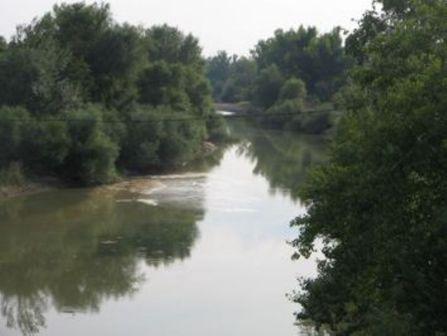 170519 141697 20859 9573 pinios