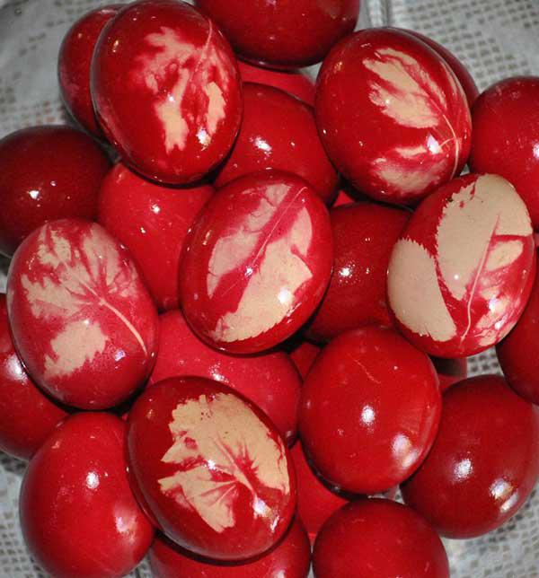 230327 liml perdikes