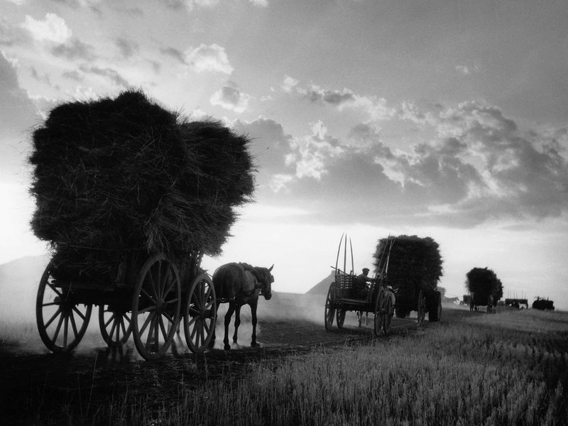 230412 to fotografeio tou mpampa mou 2