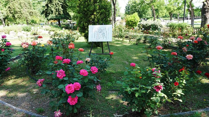 230529 votanikos kipos 3