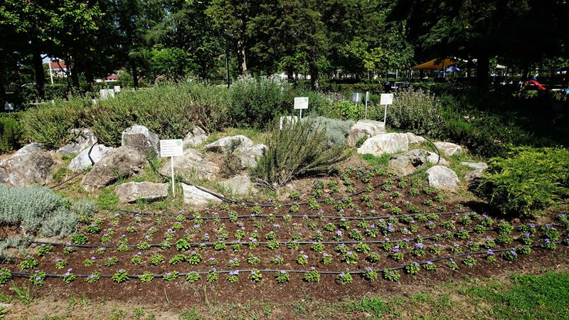 230529 votanikos kipos 4