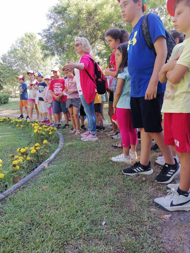 230726 kataskinosi stin poli votaniki