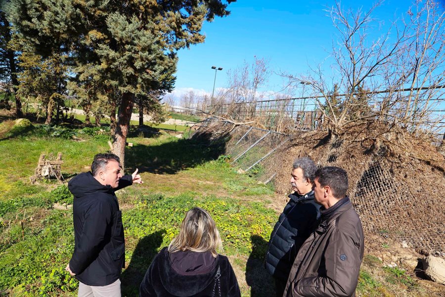 240131 dimarxos alsos