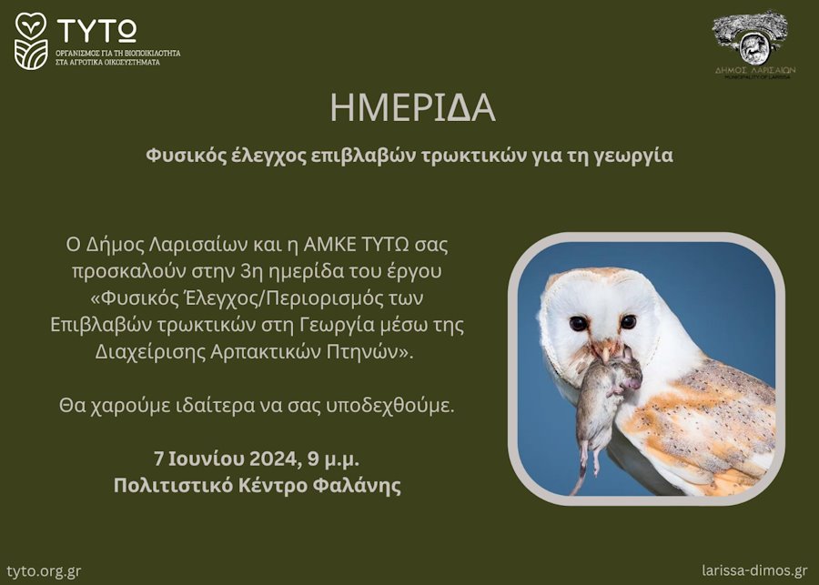 240603 imerida tyto 2