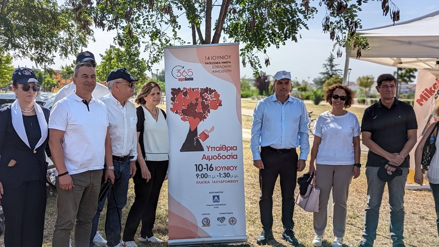 240617 dentrofiteysi