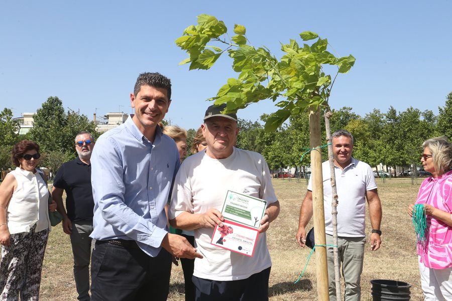 240617 dentrofiteysi