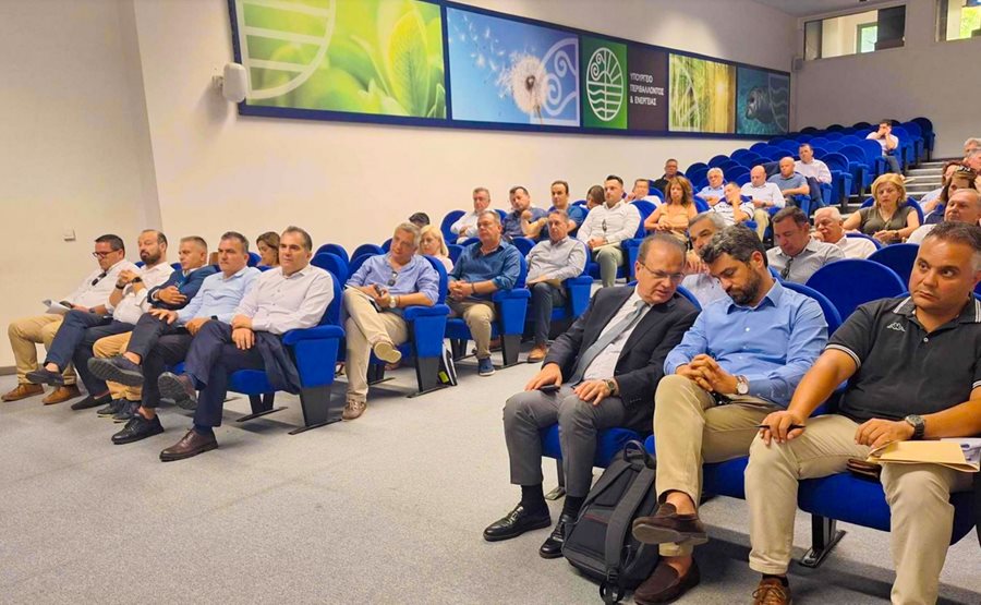 240723 ypen synantisi