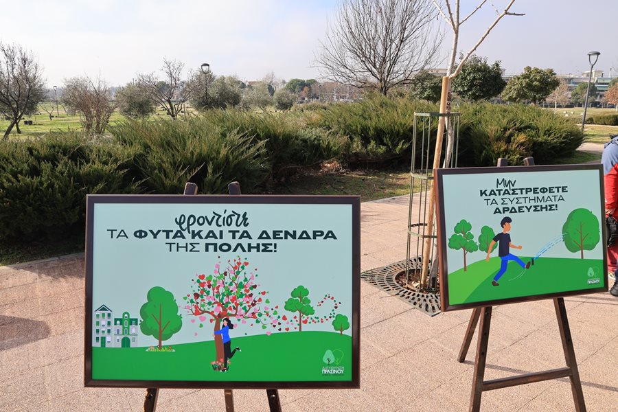 250131 xatzhxalar dentrofyteysi