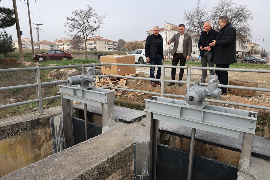 250203 thyrofragma giannoyli