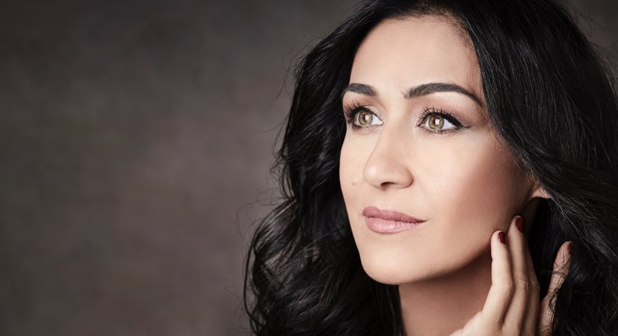 250211 dol papathanasiou