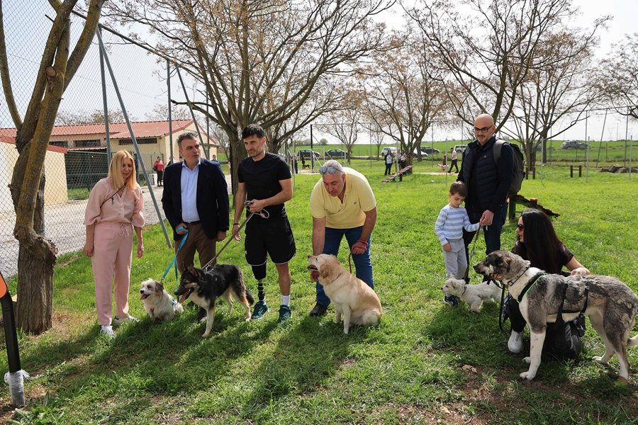 250317 dimotiko katafygio xoros proaylismou