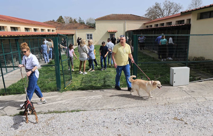 250317 dimotiko katafygio xoros proaylismou