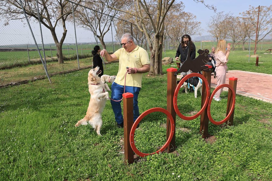 250317 dimotiko katafygio xoros proaylismou