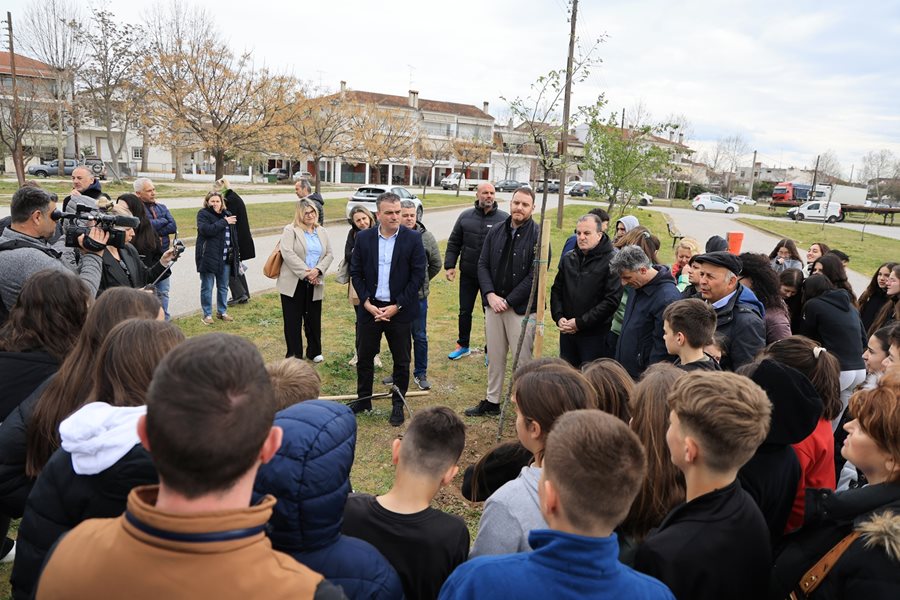 250319 dentrofyteysi giannouli