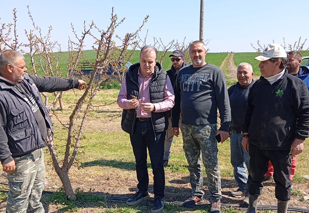 250324 Vlahoulis pagetos2