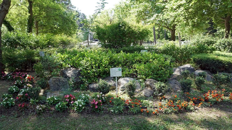 250512 votaniki syllogi