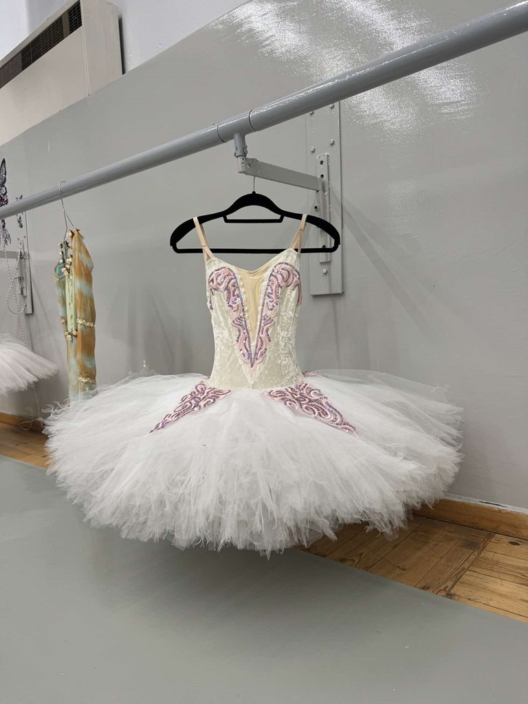 250519 eeeek scholi chorou