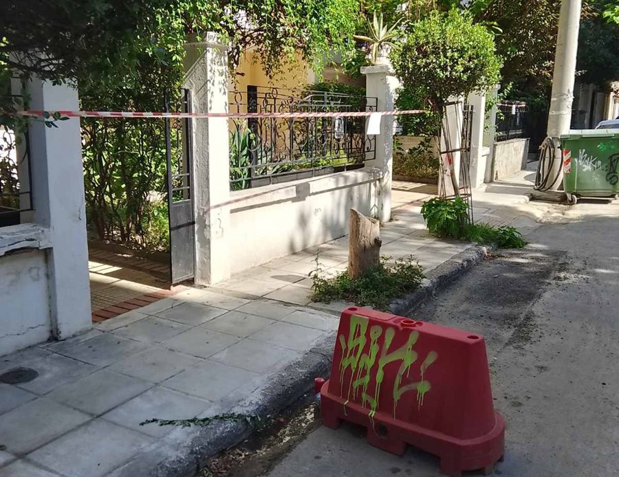 250625 kathariotita roidou