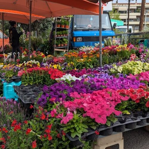 250721 laikes photo archeiou