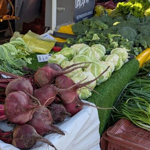 250722 laikes photo archeiou