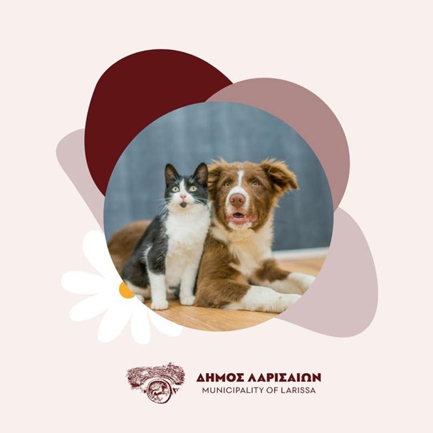 251009 katafygio adespoton dimos larissaion 2