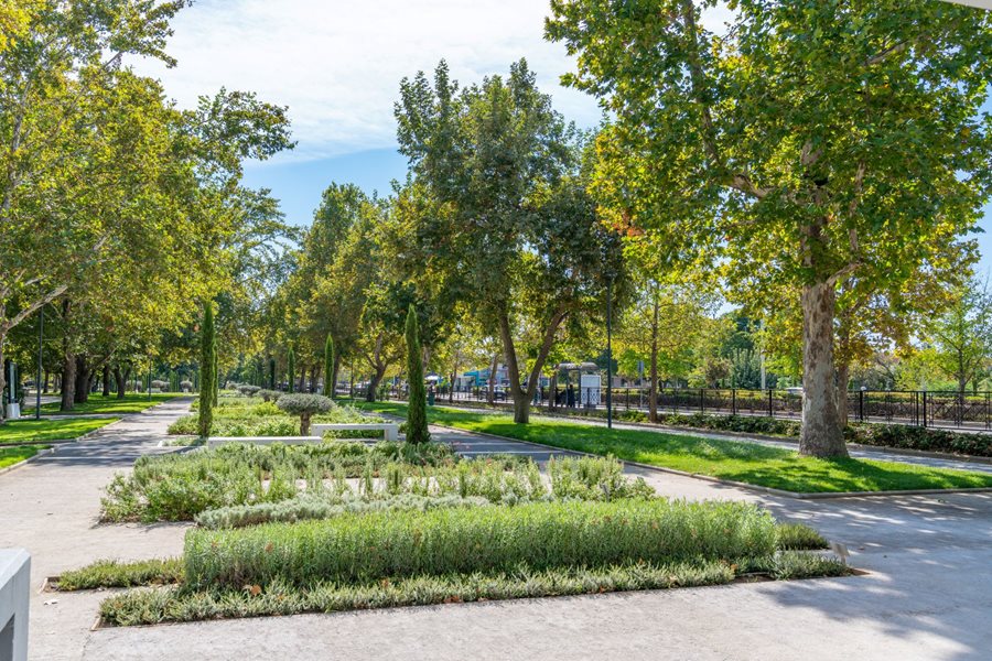 Στιγμιότυπο από τον Ιπποκράτειο Βοτανικό Κήπο στο Πάρκο Αλκαζάρ 