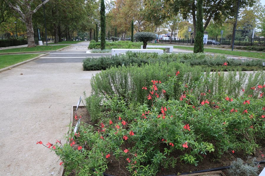 251208 kanonismos prasinou dl 1