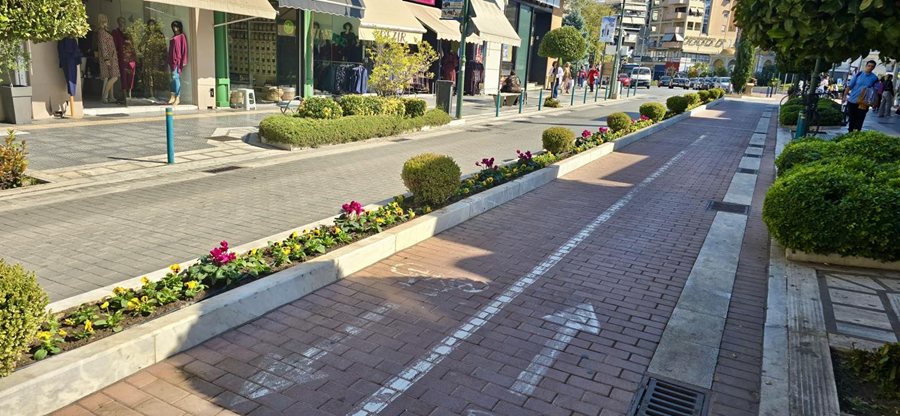 251208 kanonismos prasinou dl 1