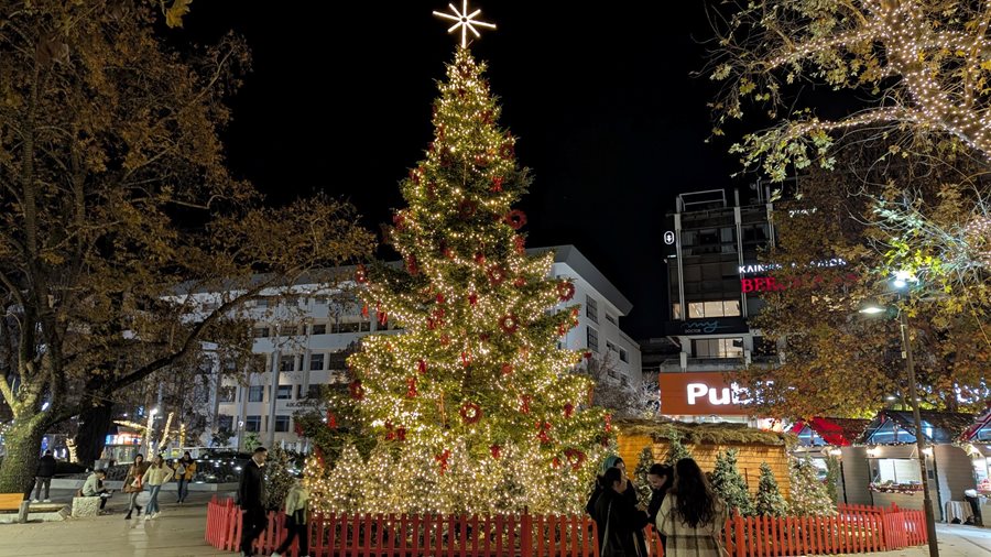 Το Χριστουγεννιάτικο δέντρο στην κεντρική πλατεία