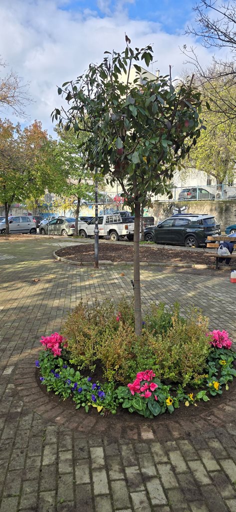 Στιγμιότυπο από την πλατεία Άννας Φράνκ μετά την ανάπλαση