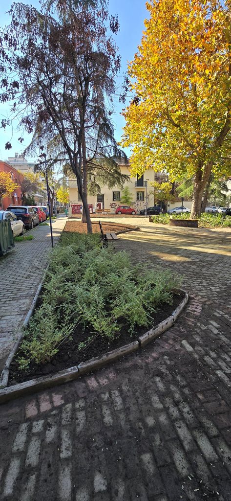 Στιγμιότυπο από την πλατεία Άννας Φράνκ μετά την ανάπλαση